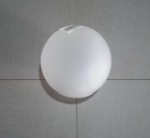 7687